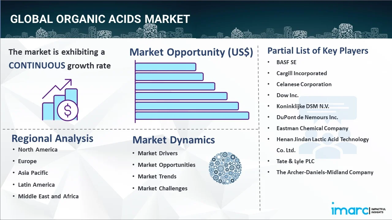 Organic Acids Market