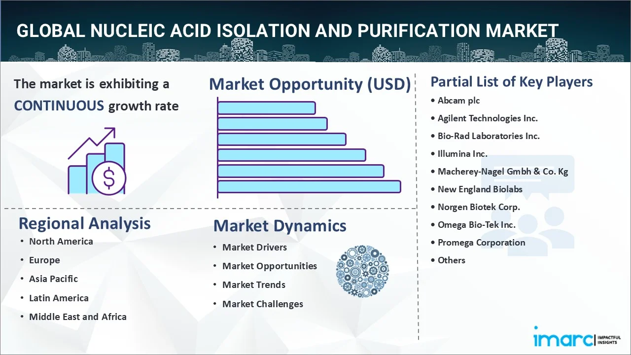 Nucleic Acid Isolation and Purification Market