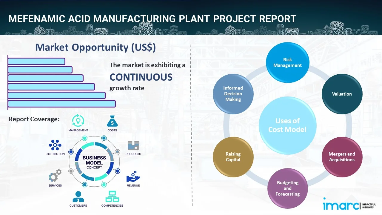 Mefenamic Acid Manufacturing Plant Project Report
