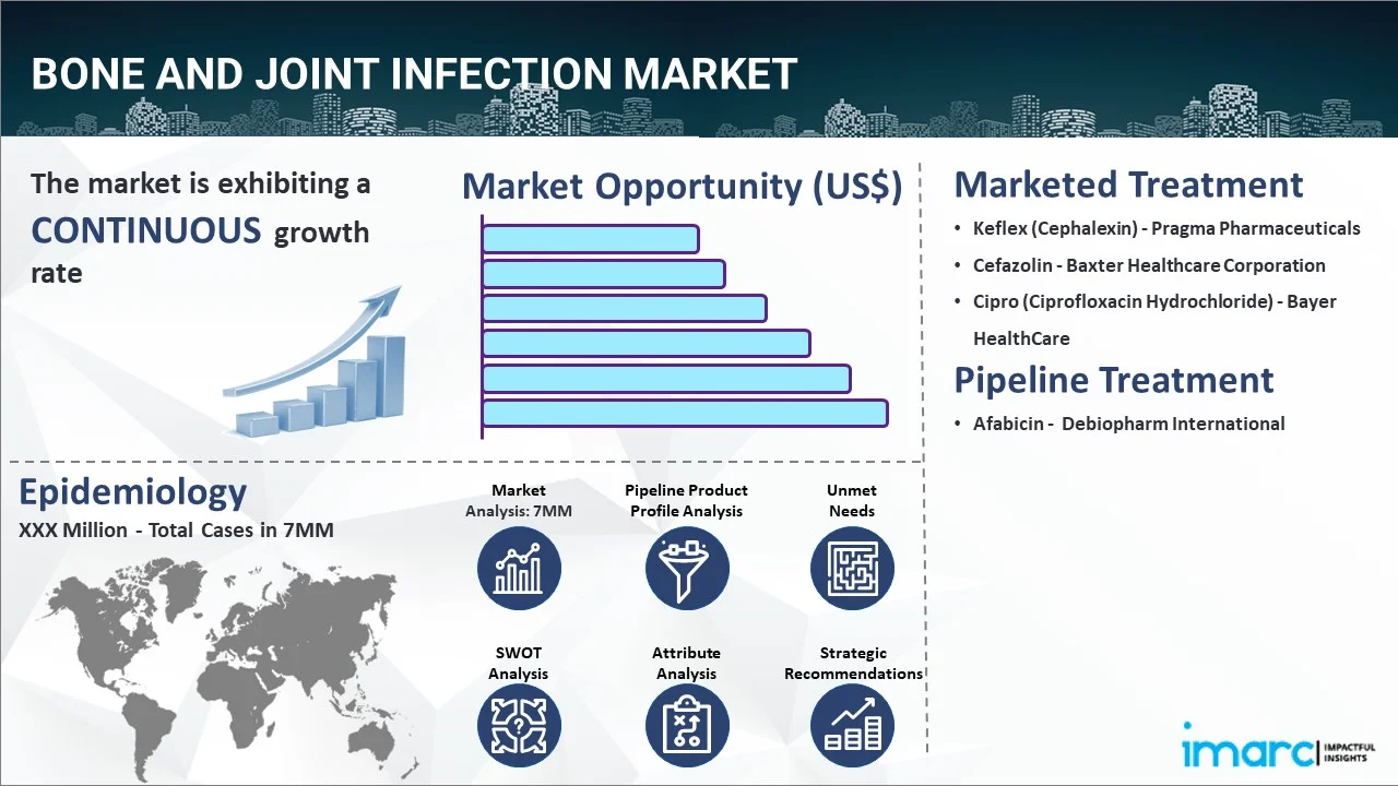 Bone and Joint Infection Market