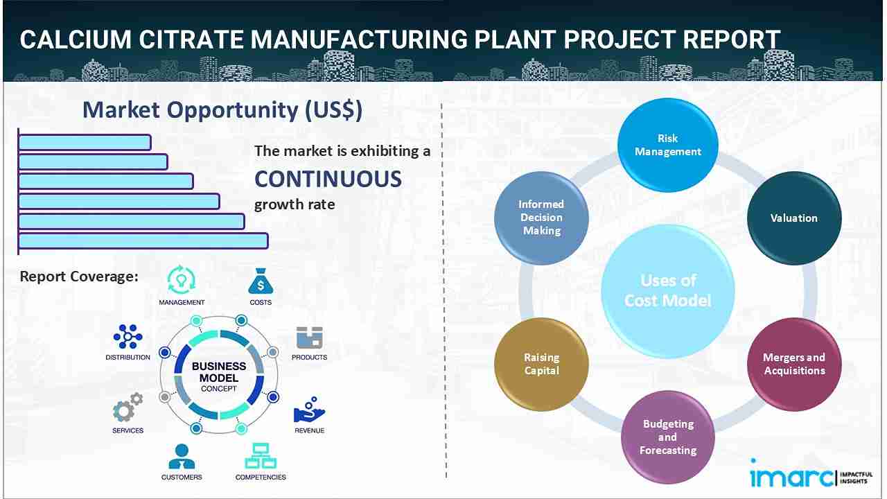 Calcium Citrate Manufacturing Plant Project Report 