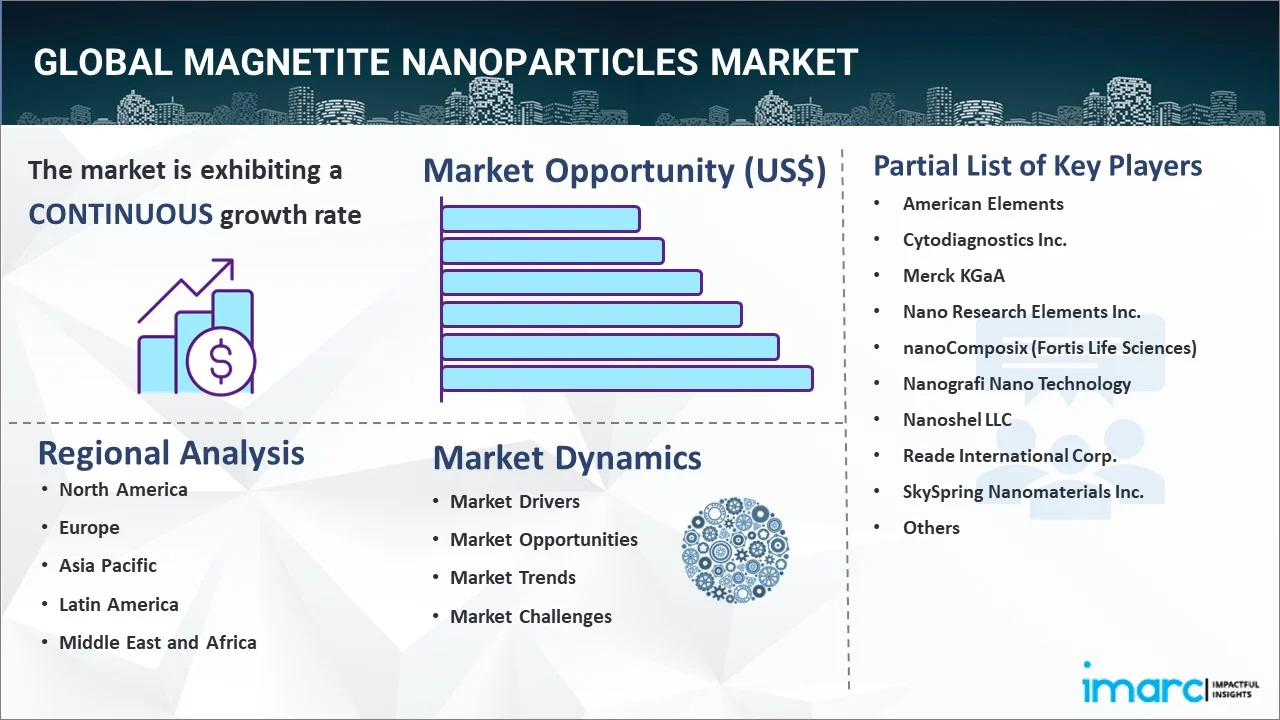 Magnetite Nanoparticles Market