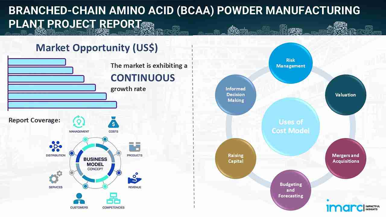 Branched-Chain Amino Acid (BCAA) Powder Manufacturing Plant Project Report