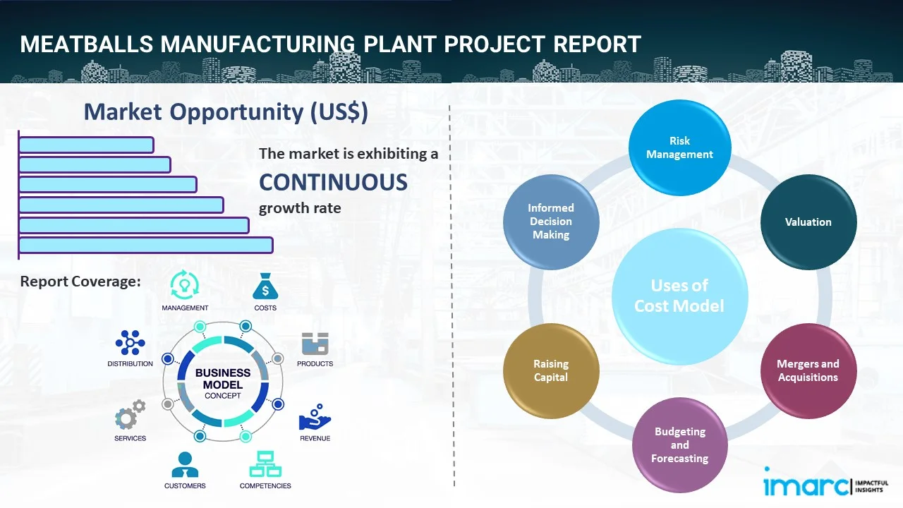 Meatballs Manufacturing Plant Project Report