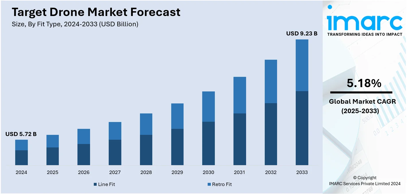 Target Drone Market Size