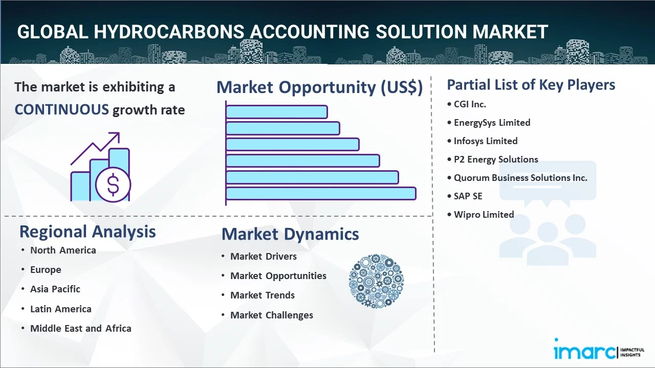 Hydrocarbons Accounting Solution Market Report