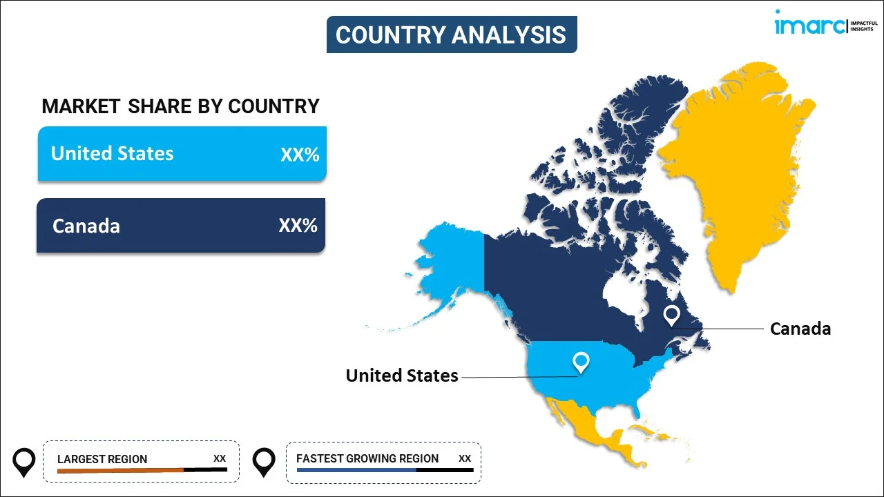 North America Sodium Chloride Market By Country