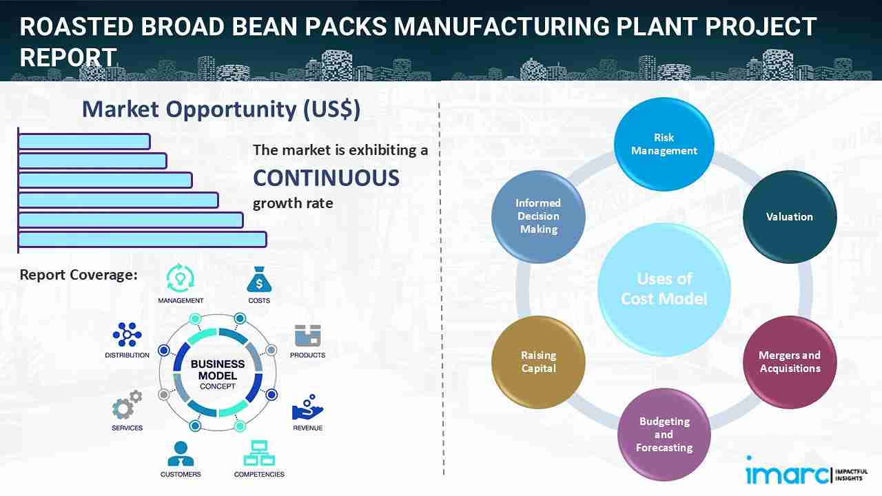 Roasted Broad Bean Packs Manufacturing Plant Project Report 