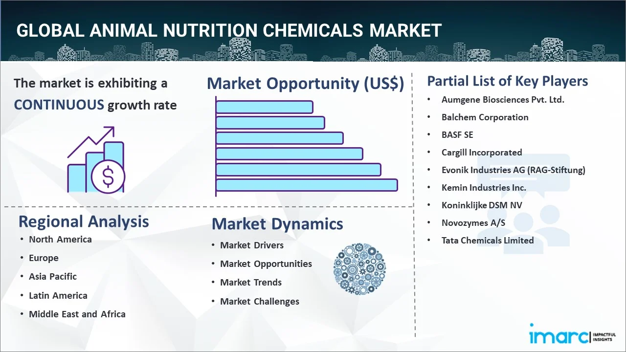 Animal Nutrition Chemicals Market