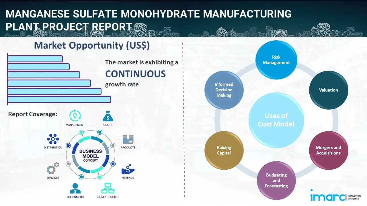 Manganese Sulfate Monohydrate Manufacturing Plant  