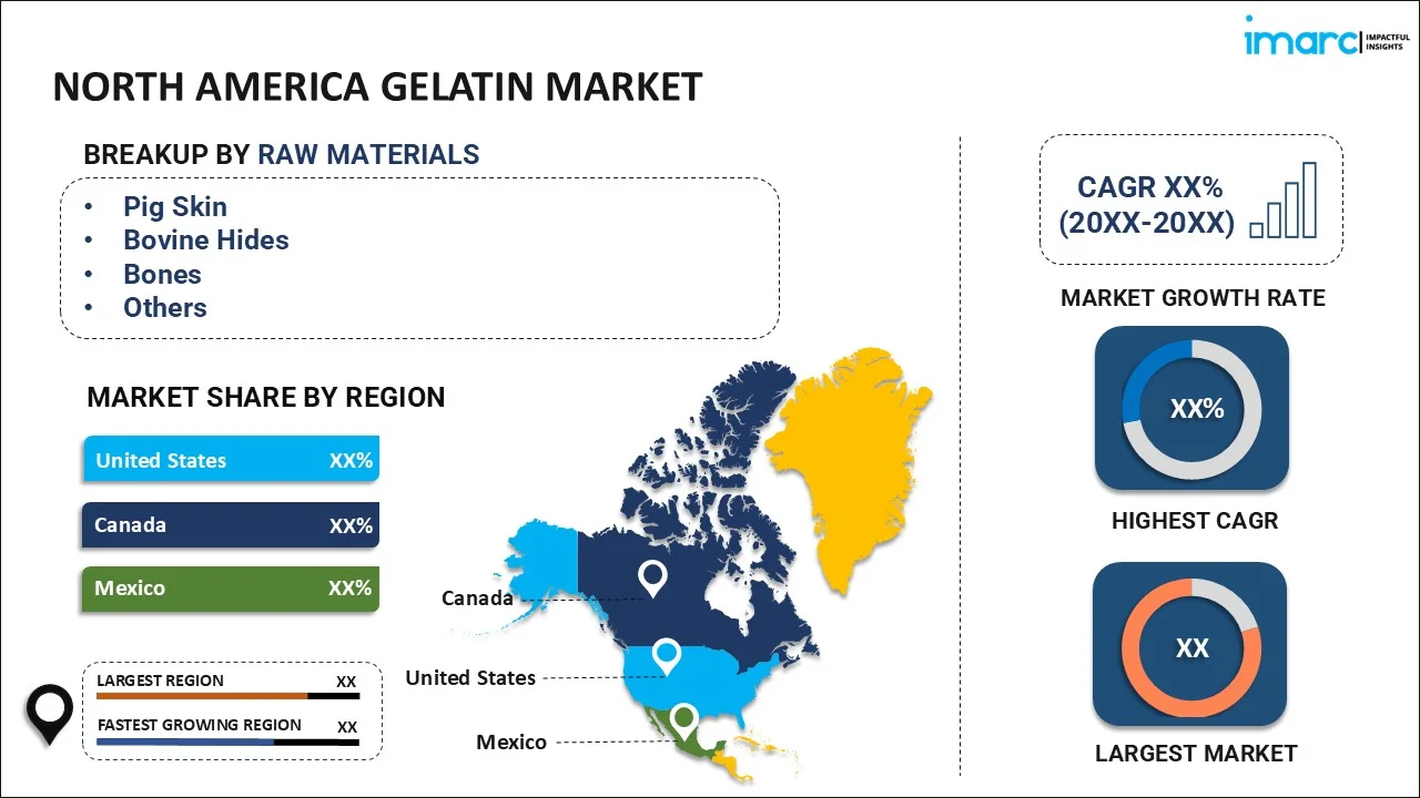 North America Gelatin Market