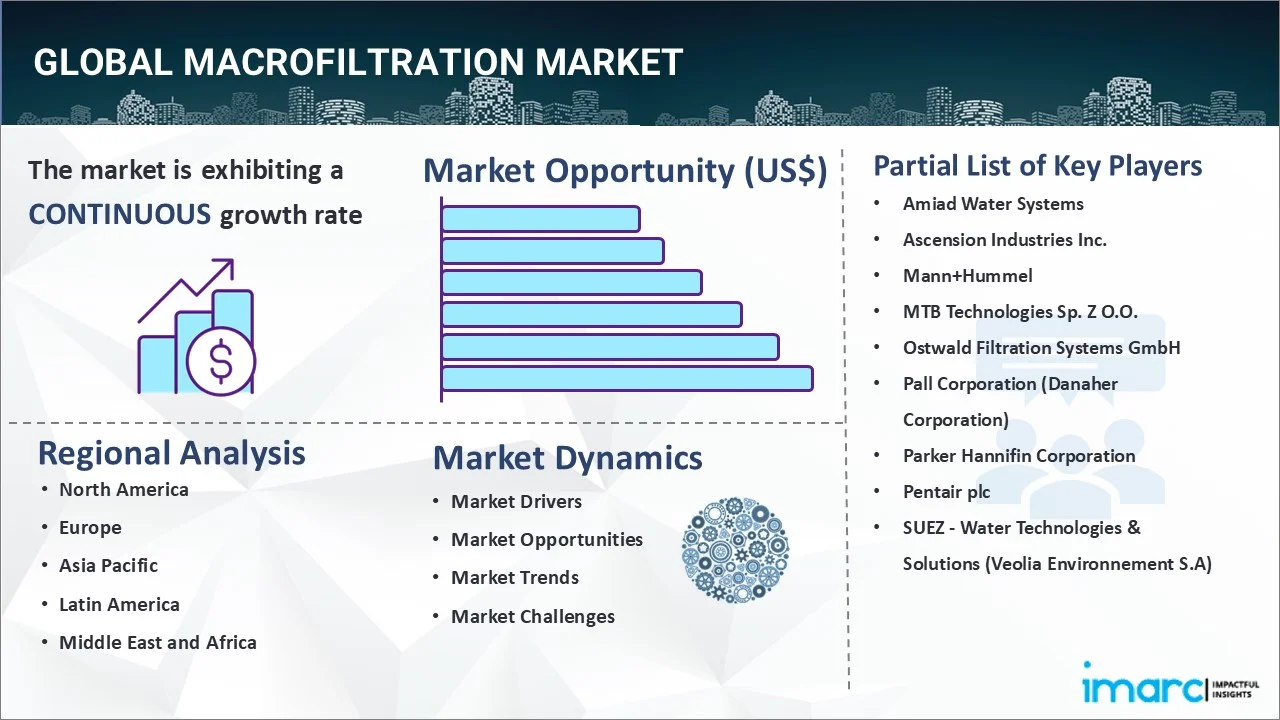 Macrofiltration Market