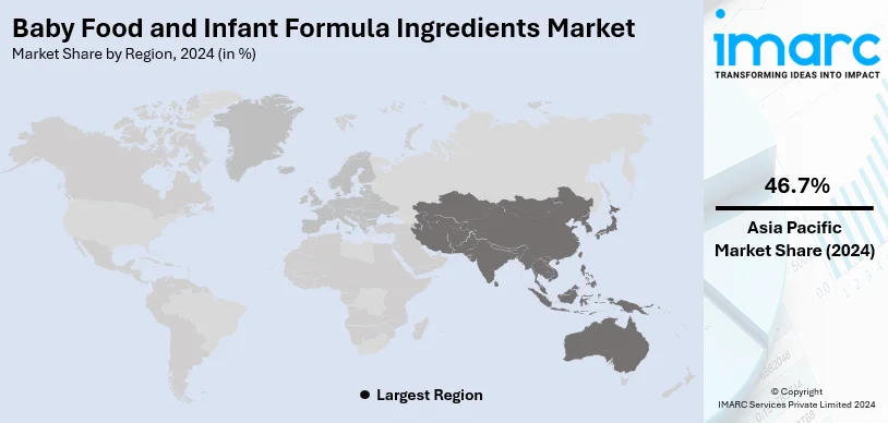 Baby Food and Infant Formula Ingredients Market By Region