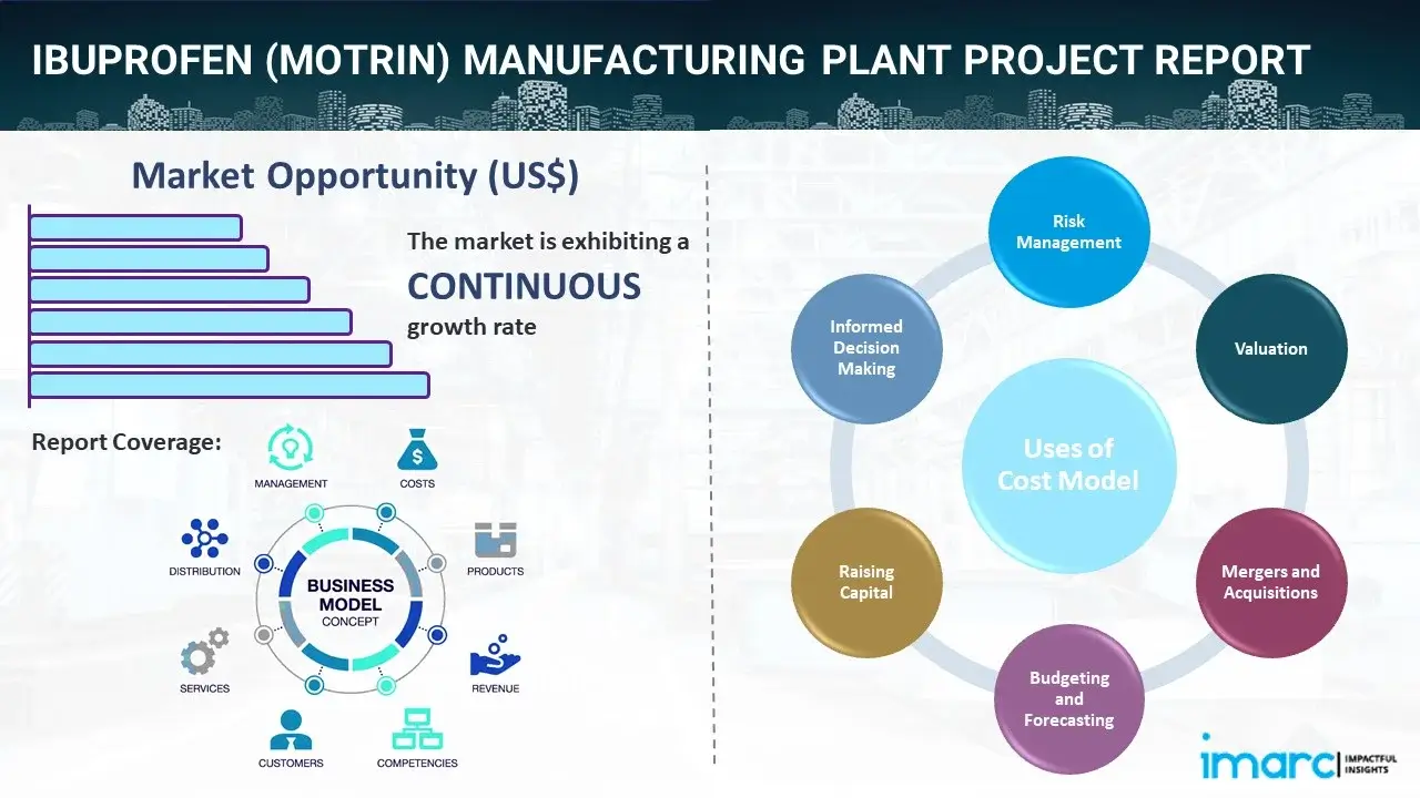 Ibuprofen (Motrin) Manufacturing Plant