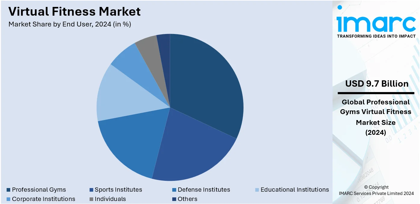 Virtual Fitness Market By End User