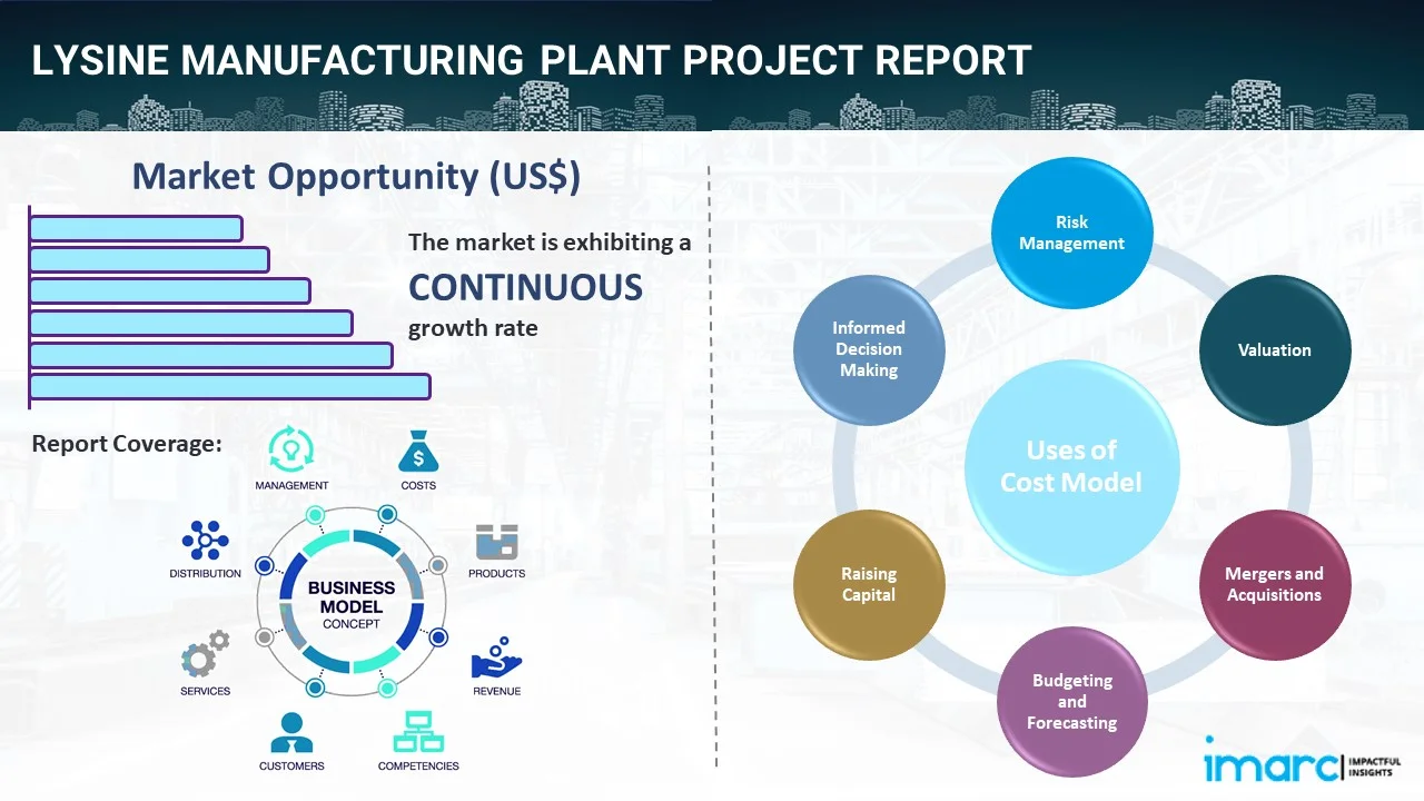 Lysine Manufacturing Plant Project Report