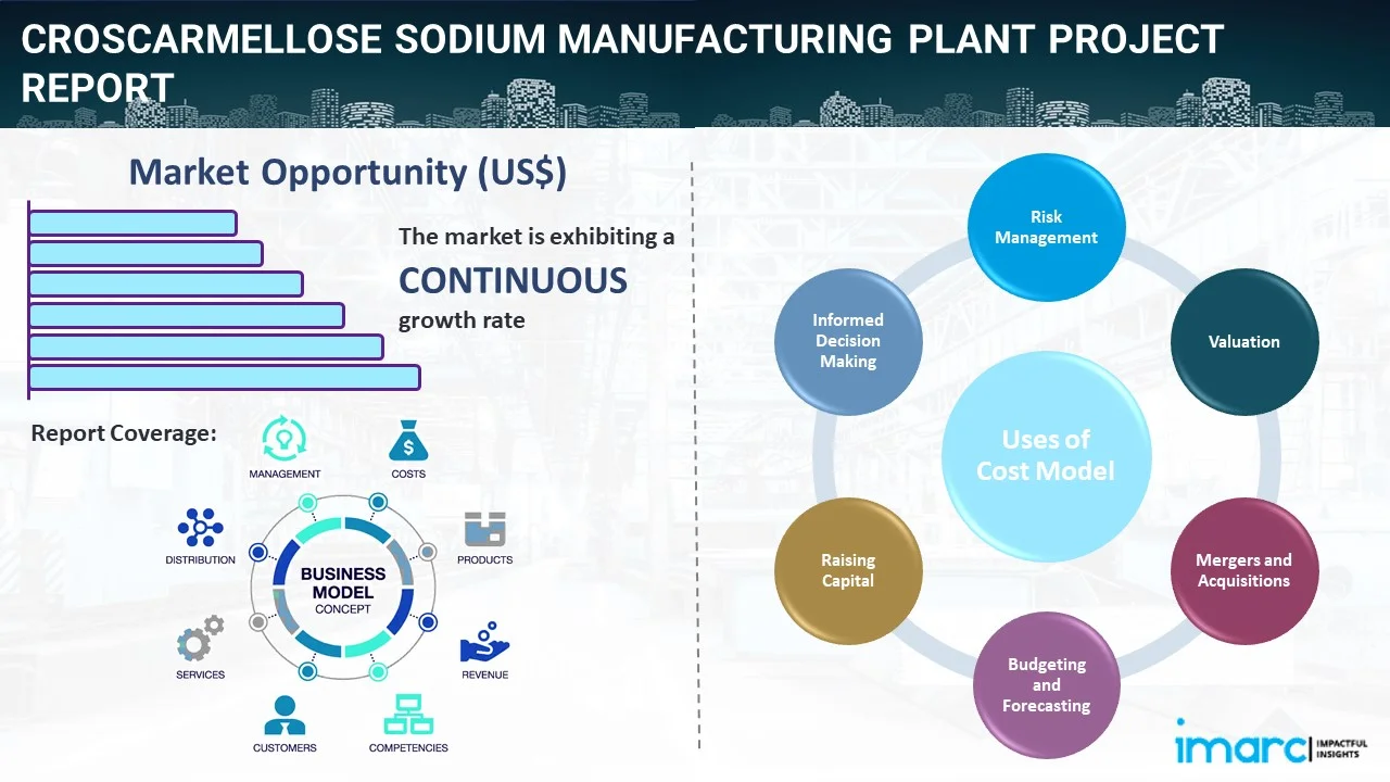 Croscarmellose Sodium Manufacturing Plant Project Report