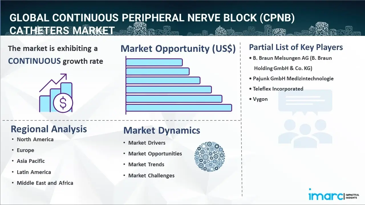 Continuous Peripheral Nerve Block (cPNB) Catheters Market