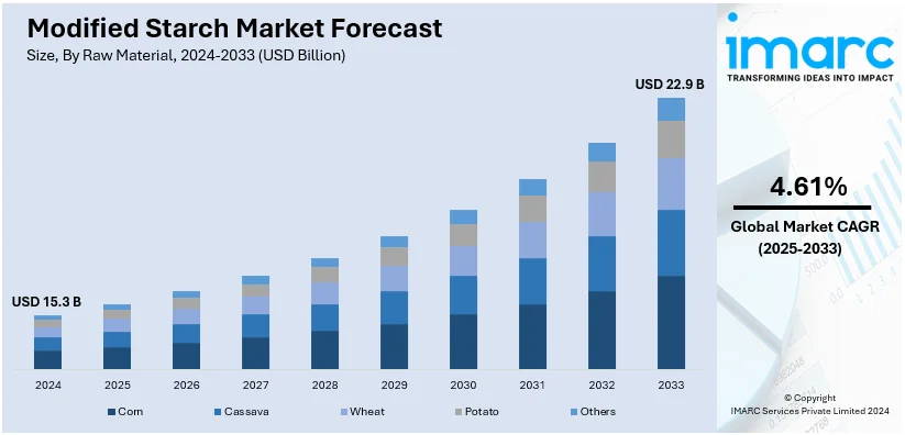 Modified Starch Market Size