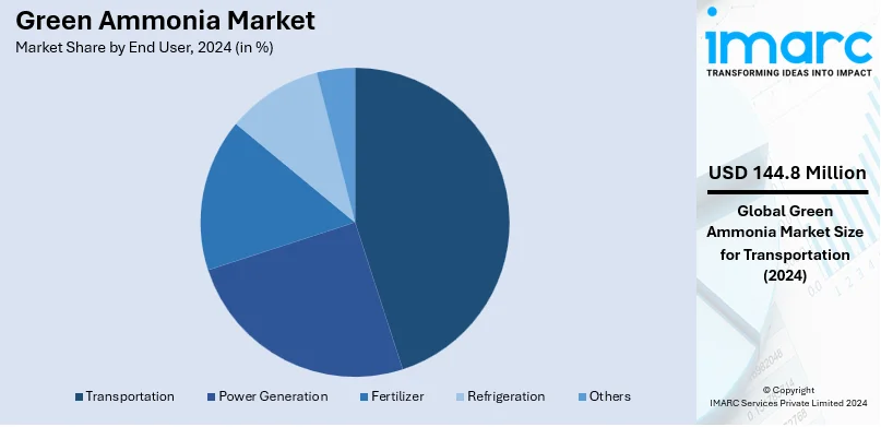 Green Ammonia Market By End User