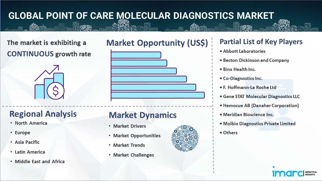 Point of Care Molecular Diagnostics Market Report