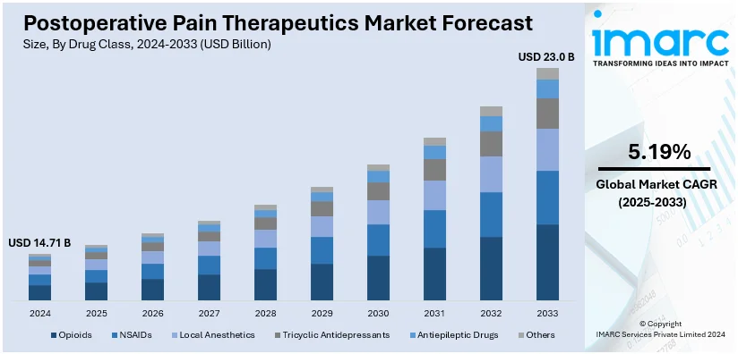 Postoperative Pain Therapeutics Market Size