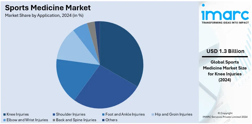 Sports Medicine Market By Application