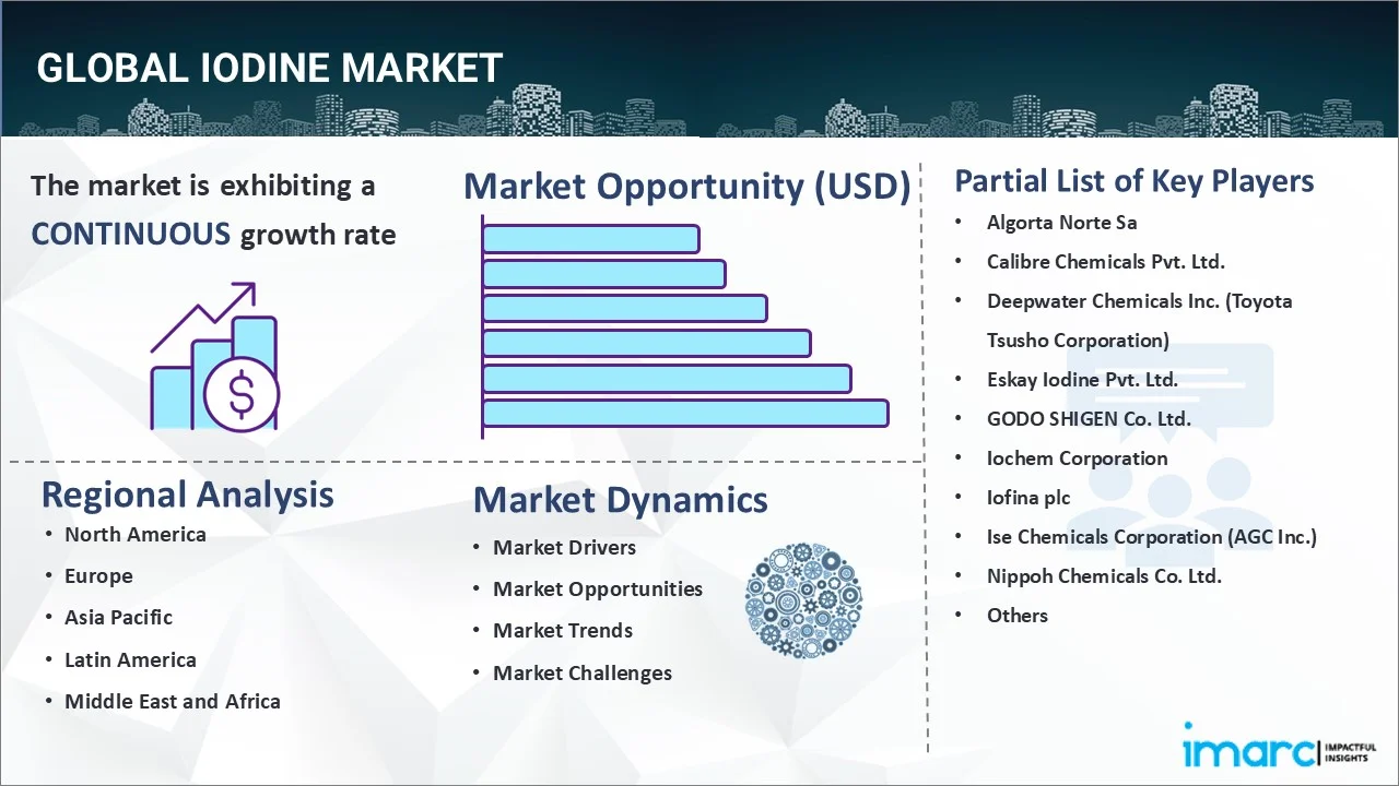 Iodine Market