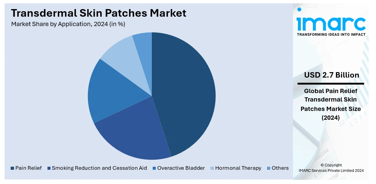 Transdermal Skin Patches Market By Application