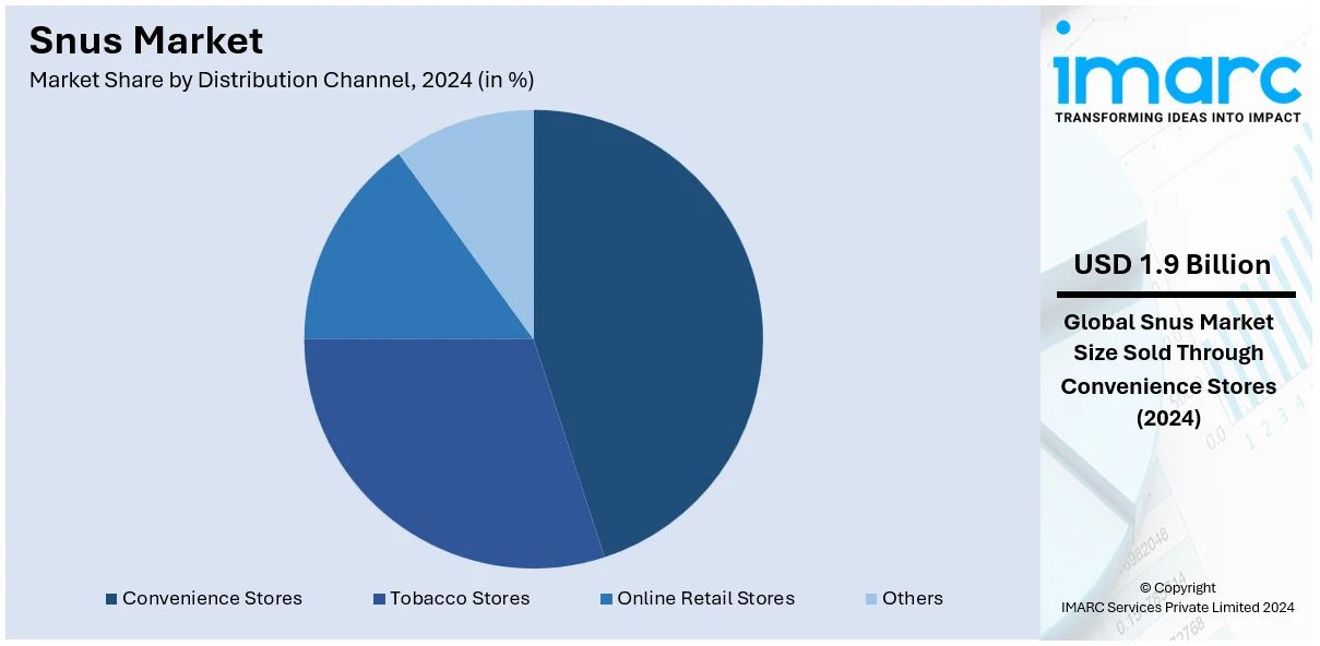 Snus Market By Distribution Channel