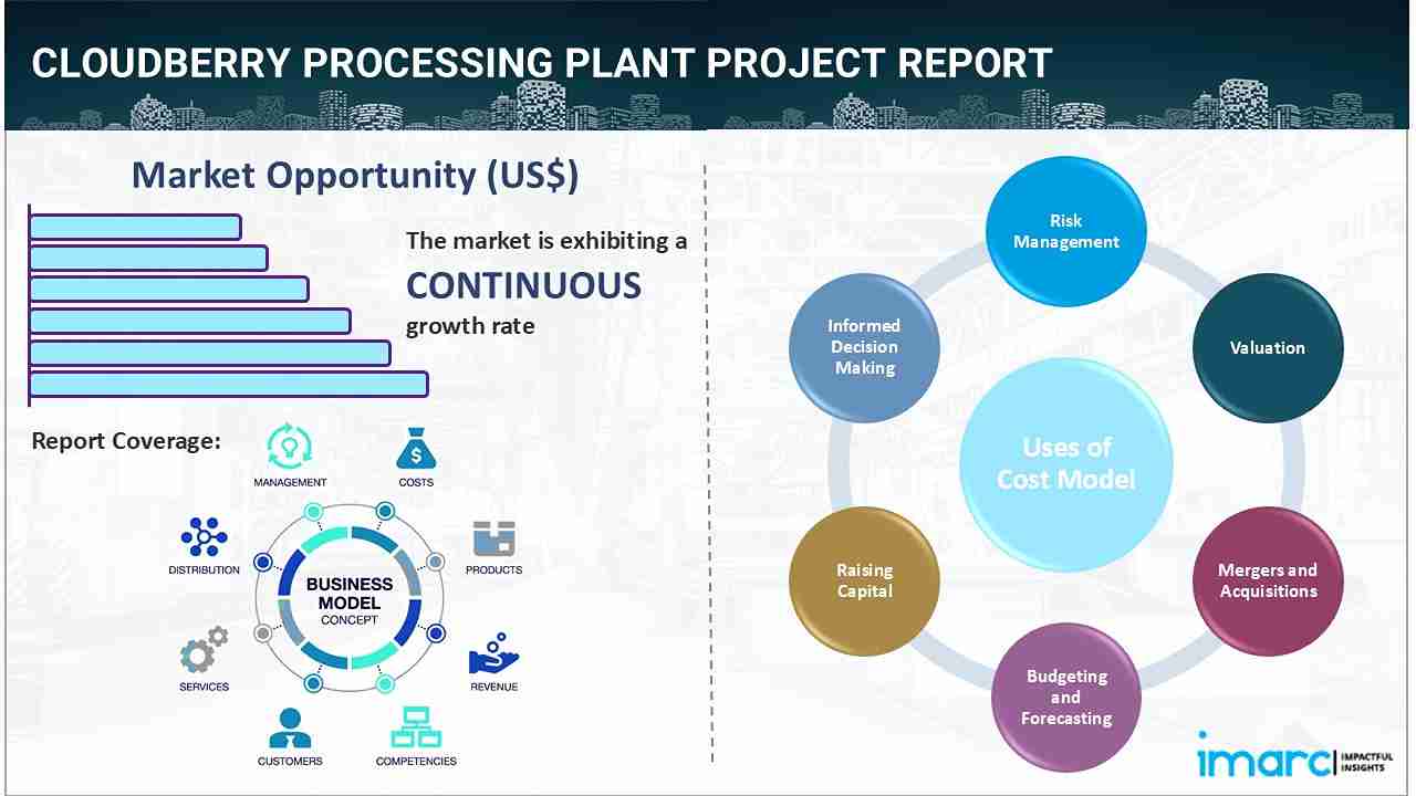 Cloudberry Processing Plant Project Report