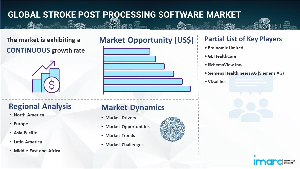 Stroke Post Processing Software Market Report