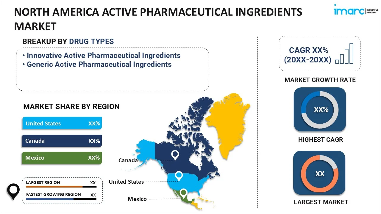 North America Active Pharmaceutical Ingredients Market