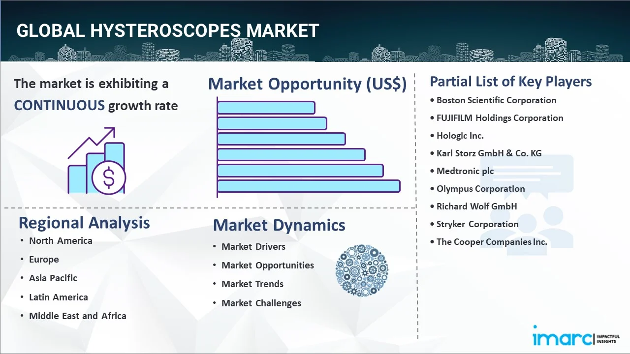 Hysteroscopes Market