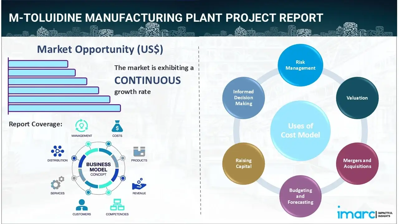 m-Toluidine Manufacturing Plant Project Report 