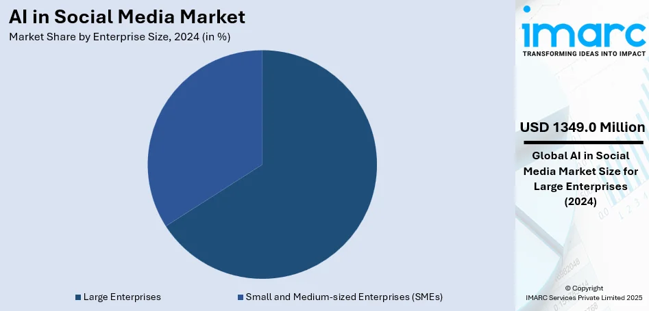 AI in Social Media Market By Enterprise Size