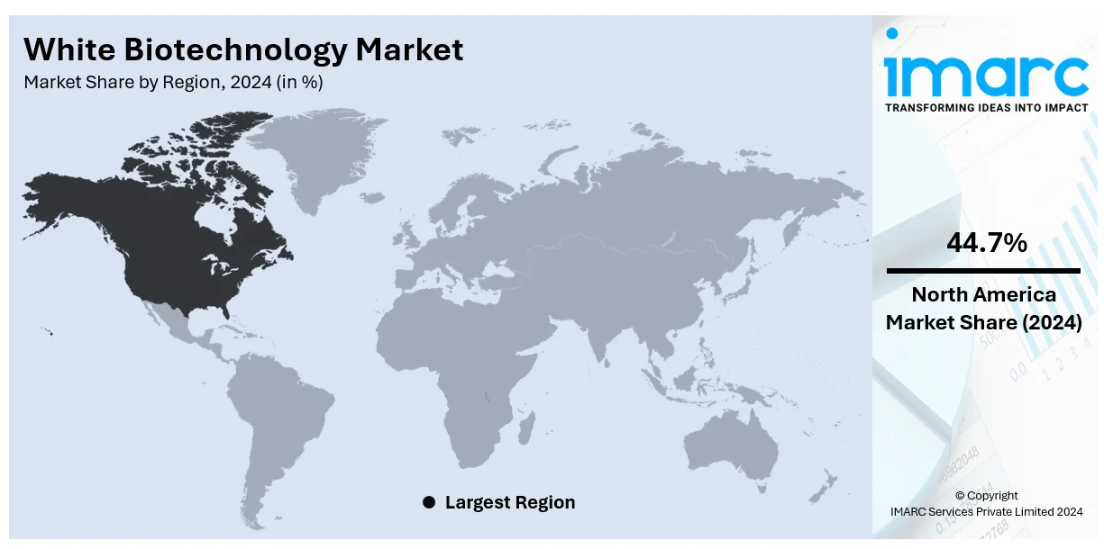 Global White Biotechnology Market By Region