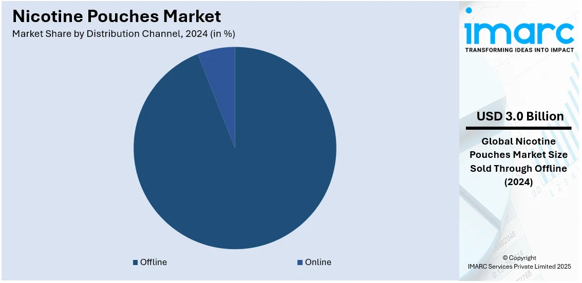 Nicotine Pouches Market By Distribution Channel