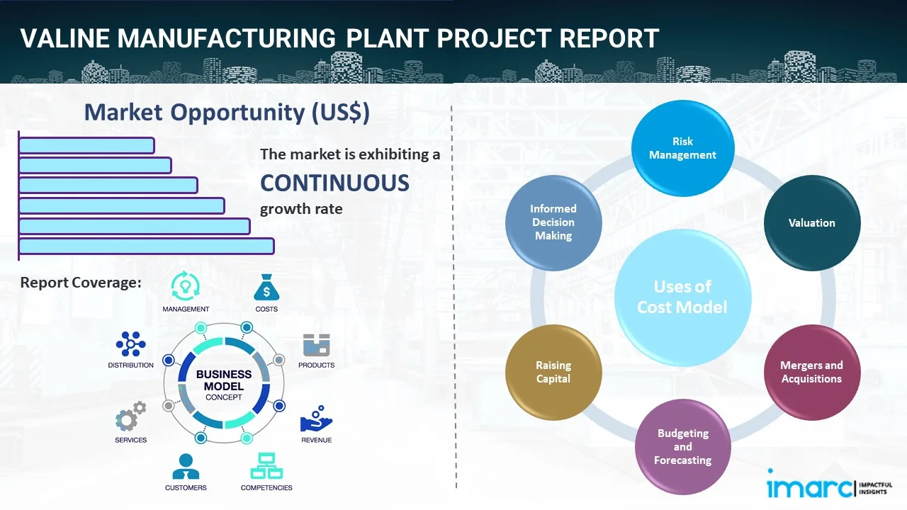 Valine Manufacturing Plant Project Report