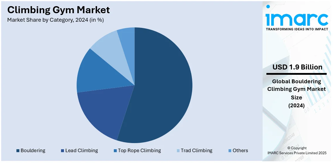 Climbing Gym Market By Category