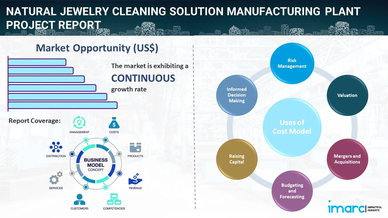 Natural Jewelry Cleaning Solution Manufacturing Plant Project Report