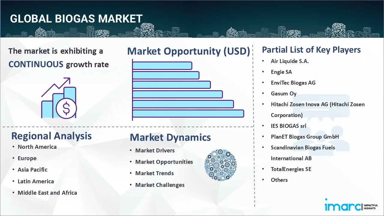 Biogas Market