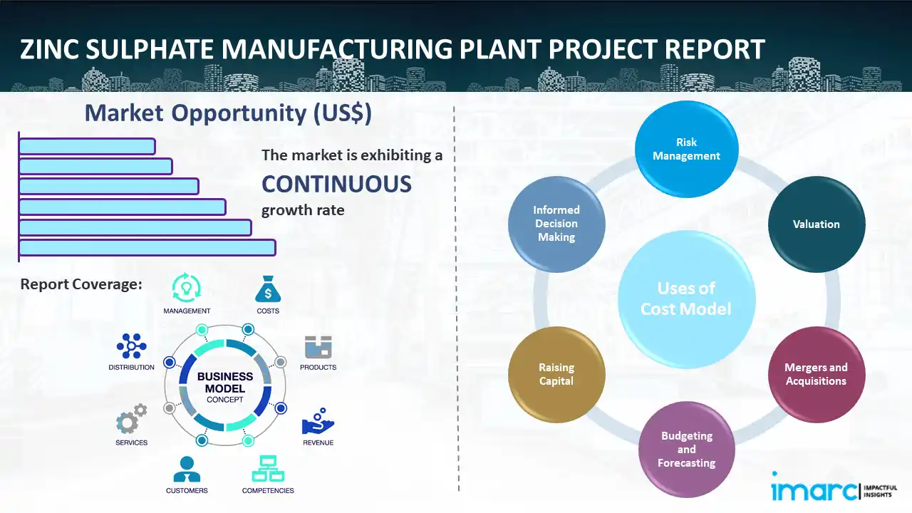 Zinc Sulphate Manufacturing Plant Project Report