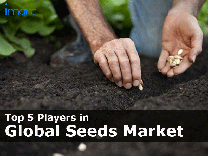 List of Top Seeds Companies - IMARC