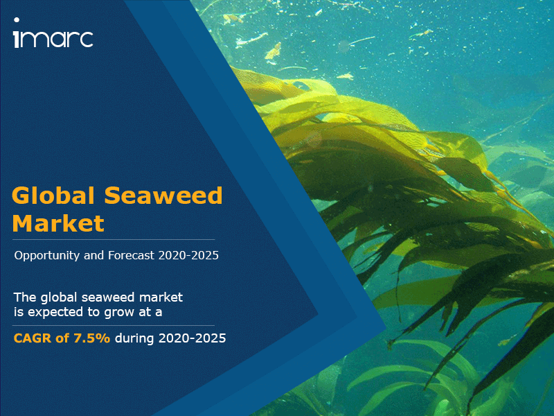 Seaweed Market Size, Share, Value, Price Trends, Industry Analysis ...