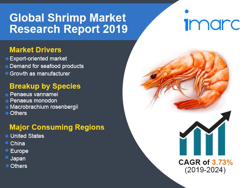 Global Shrimp Market To Reach 583 Million Tons By 2024 - 