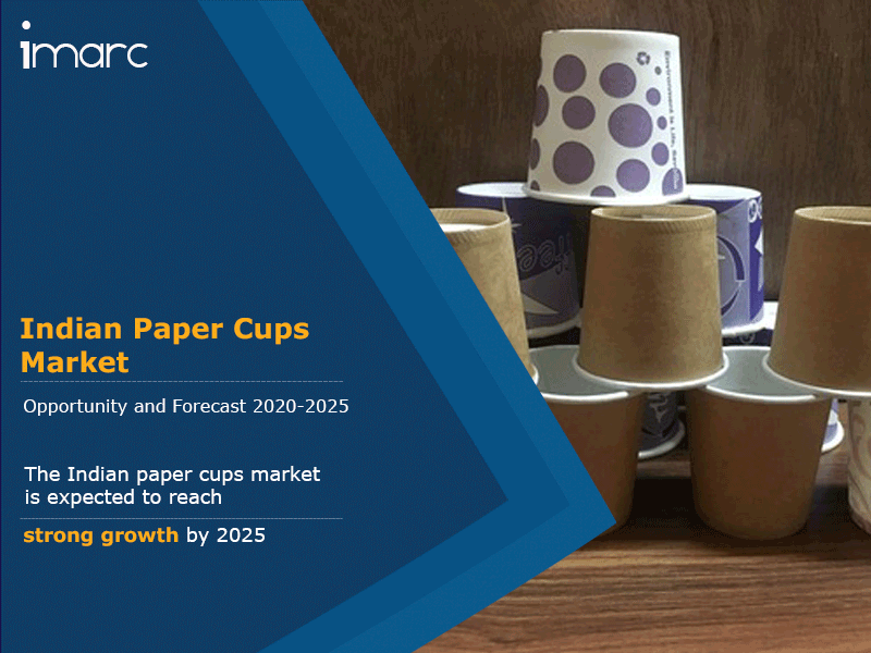 paper cup industry