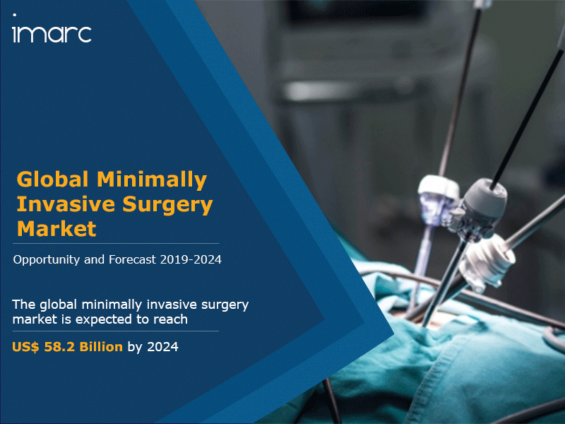 Minimally Invasive Surgery Market Analysis And Forecast 2019-2024